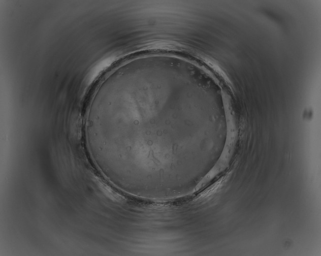 X0000091681067200708231411