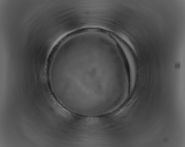 X0000091681068200708231411