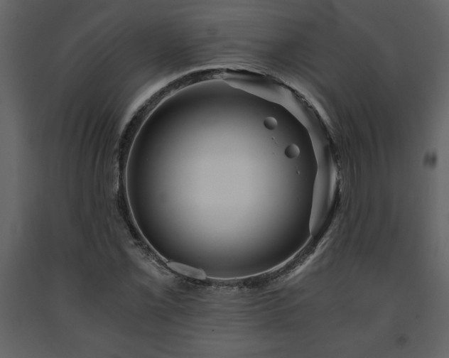 X0000091681069200708231411