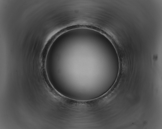 X0000091681070200708231411
