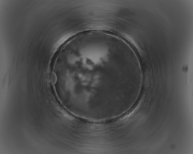 X0000091681071200708231411