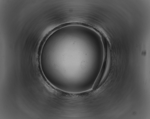 X0000091681072200708231411