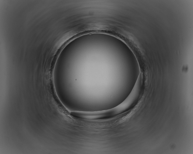 X0000091681073200708231411