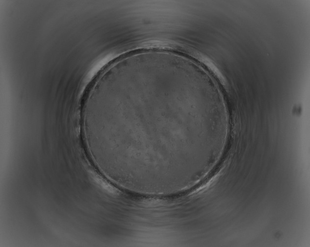 X0000091681075200708231411