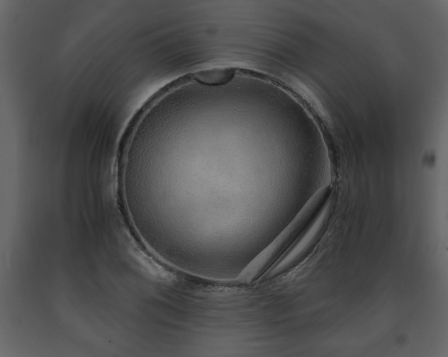 X0000091681076200708231411
