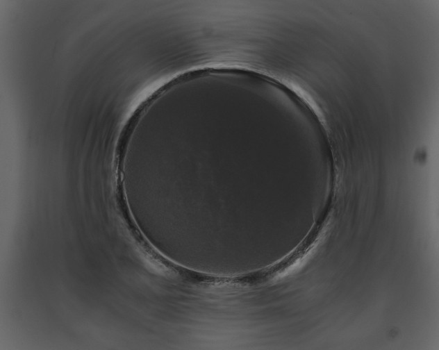 X0000091681077200708231411