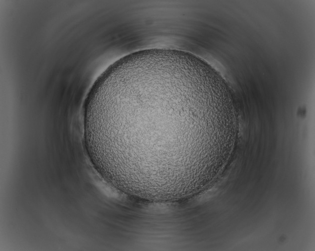 X0000091681078200708231411