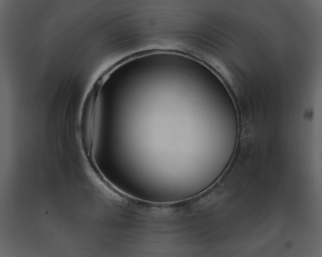 X0000091681080200708231411