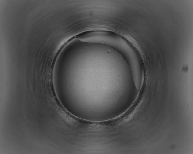 X0000091681081200708231411