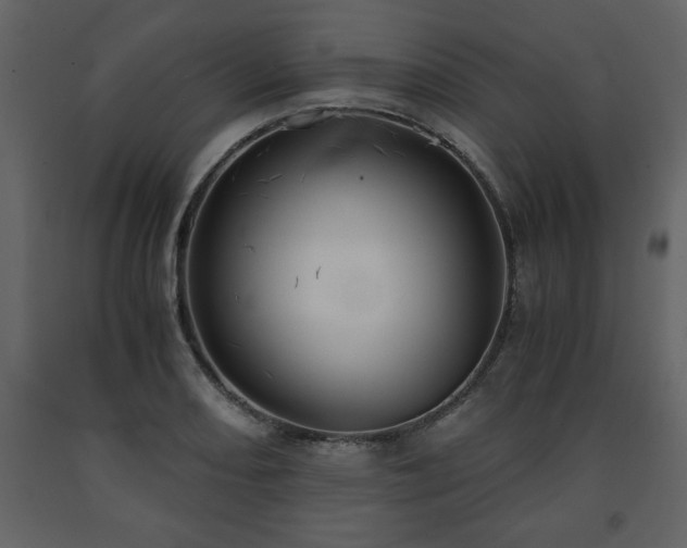 X0000091681082200708231411