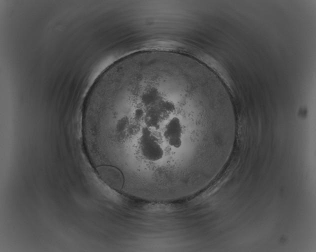 X0000091681083200708231411