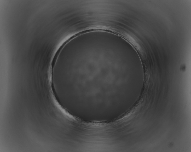 X0000091681084200708231411
