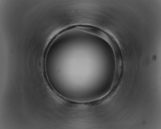 X0000091681085200708231411