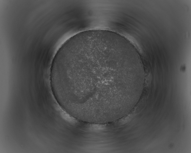 X0000091681086200708231411