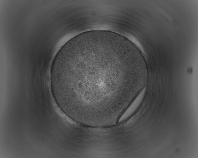 X0000091681088200708231411