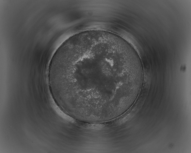 X0000091681090200708231411