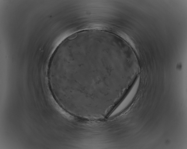 X0000091681091200708231411