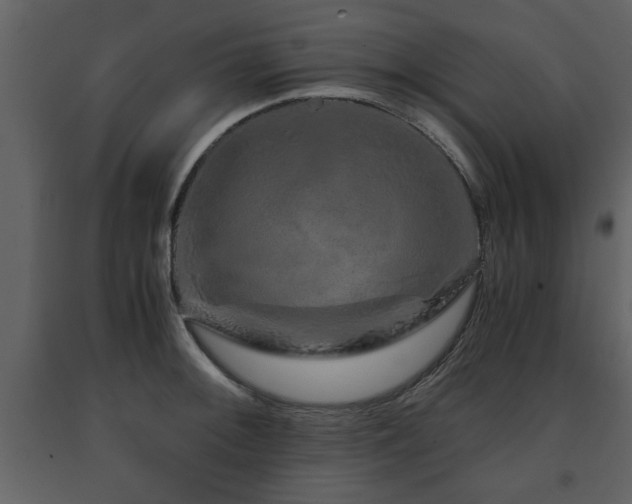 X0000091681092200708231411