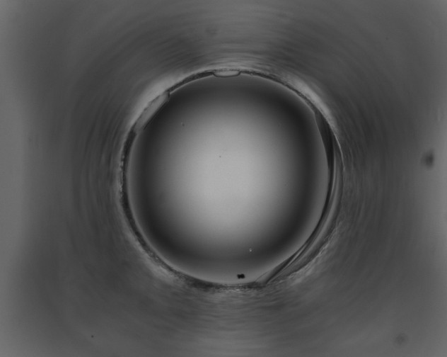 X0000091681093200708231411