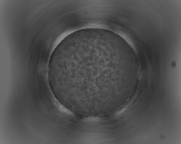 X0000091681094200708231411