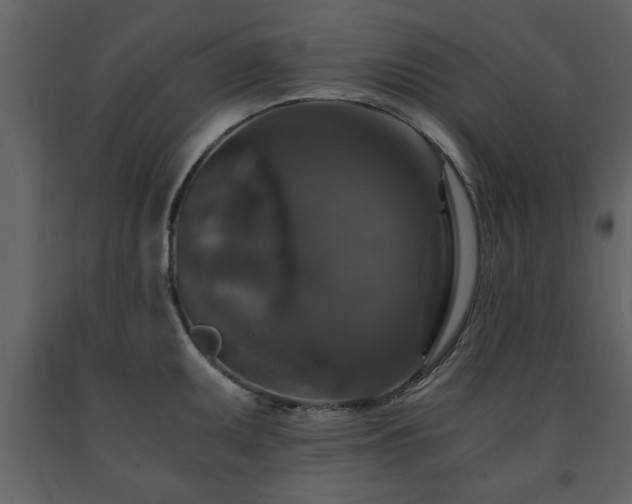 X0000091681095200708231411