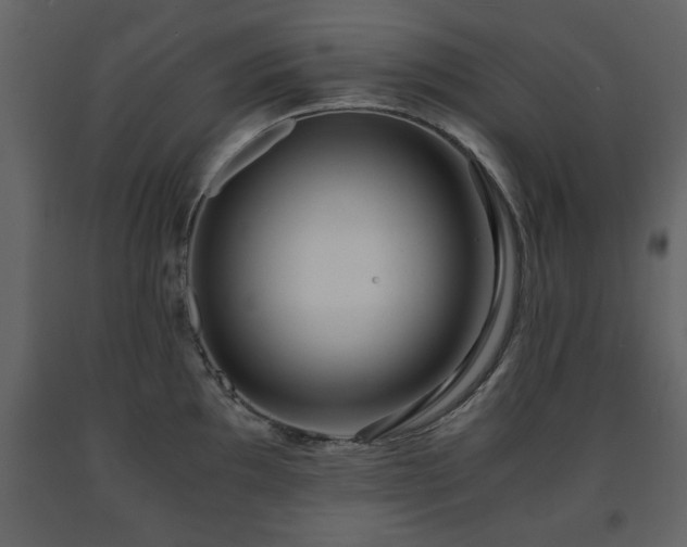 X0000091681097200708231411