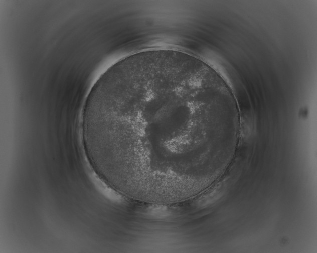 X0000091681098200708231411