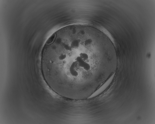 X0000091681099200708231411
