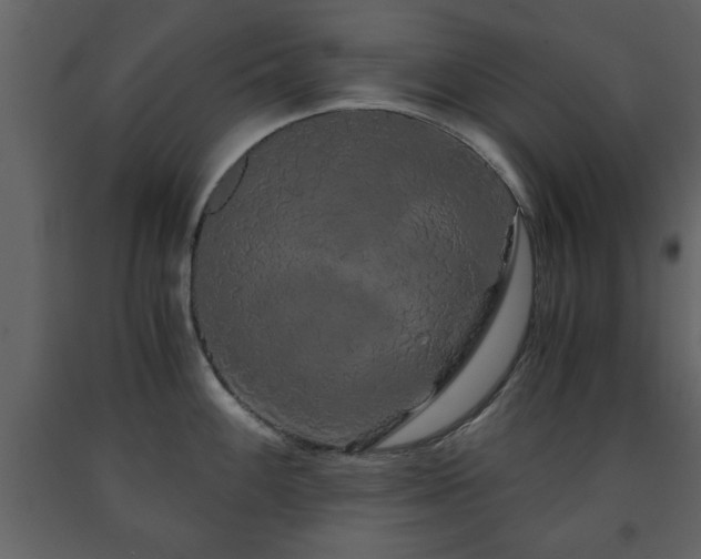 X0000091681100200708231411
