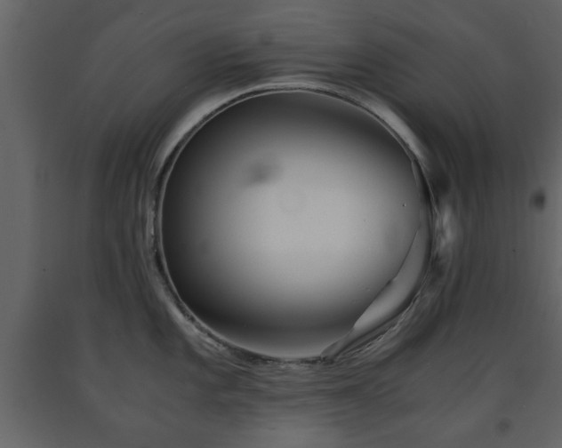 X0000091681101200708231411