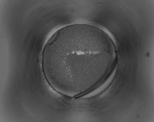 X0000091681102200708231411