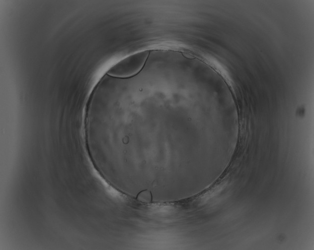 X0000091681103200708231411