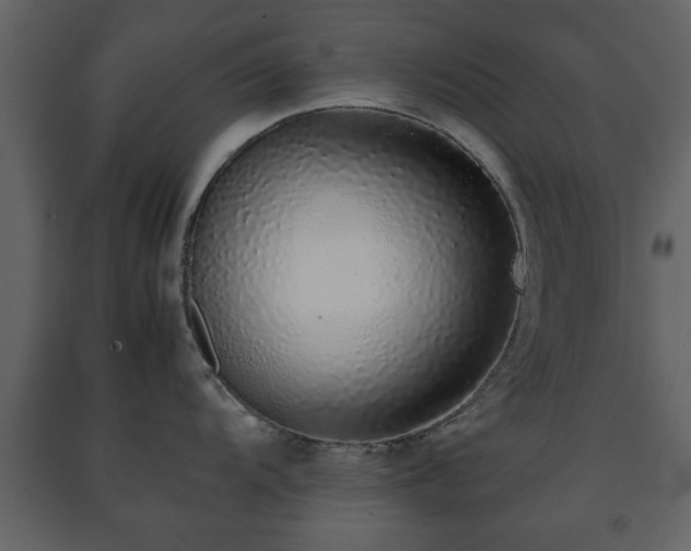 X0000091681104200708231411