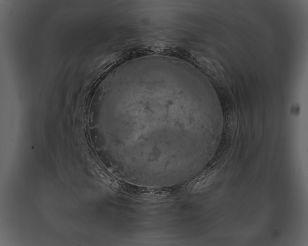 X0000091681105200708231410