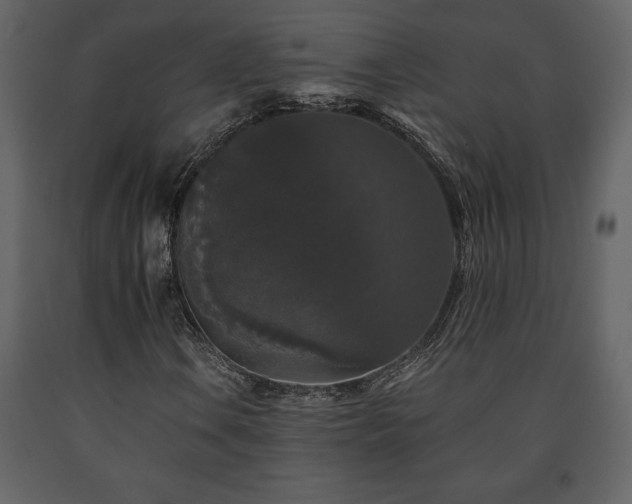 X0000091681106200708231410