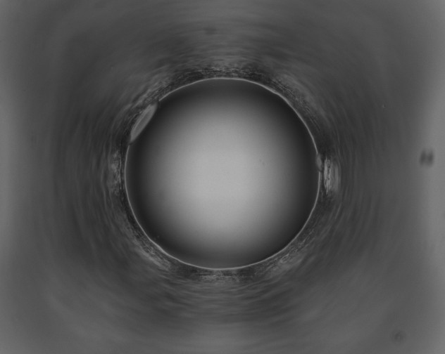 X0000091681107200708231410