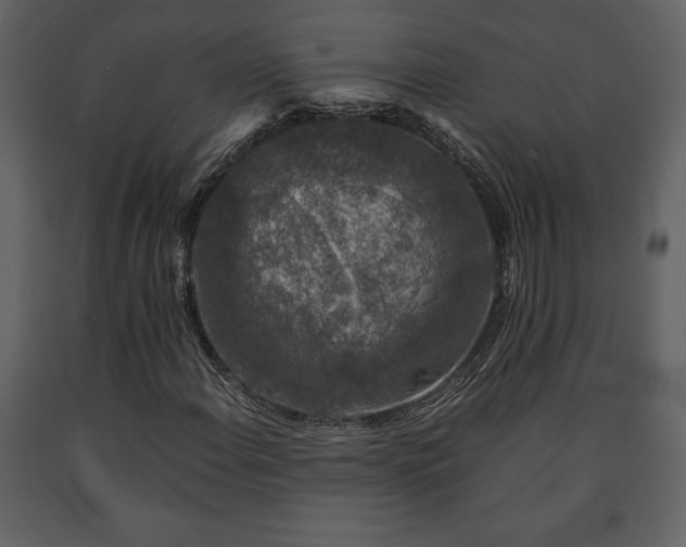 X0000091681108200708231410