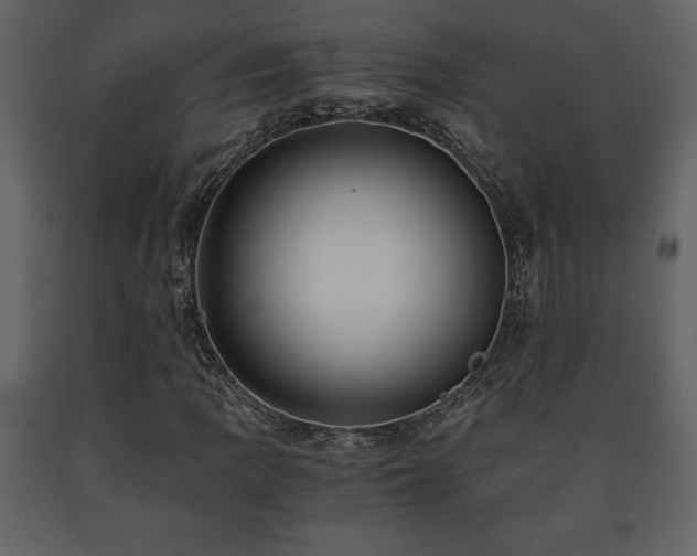 X0000091681109200708231410
