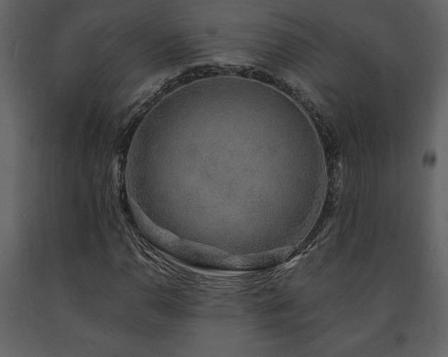 X0000091681110200708231410