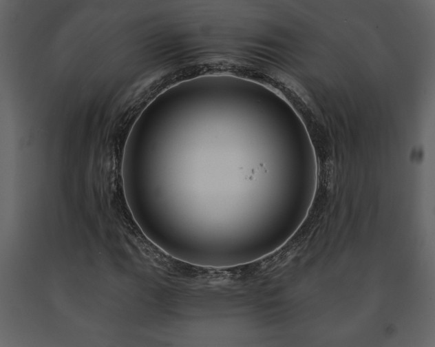 X0000091681111200708231410