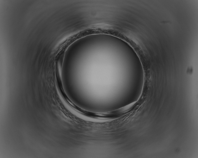 X0000091681112200708231410