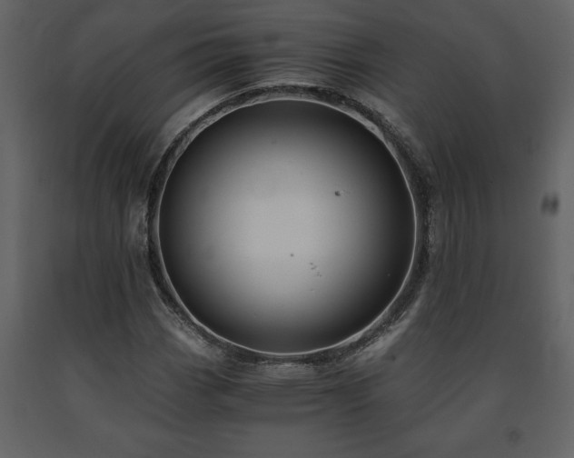 X0000091681113200708231410