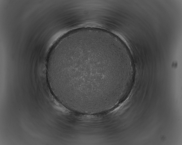 X0000091681115200708231410