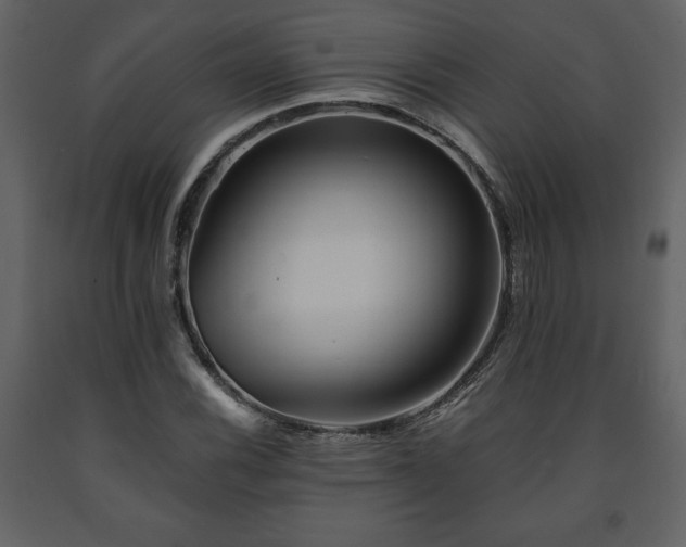 X0000091681116200708231410