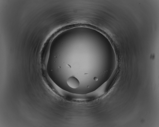 X0000091681118200708231410
