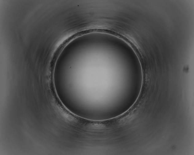 X0000091681119200708231410