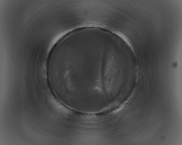 X0000091681120200708231410