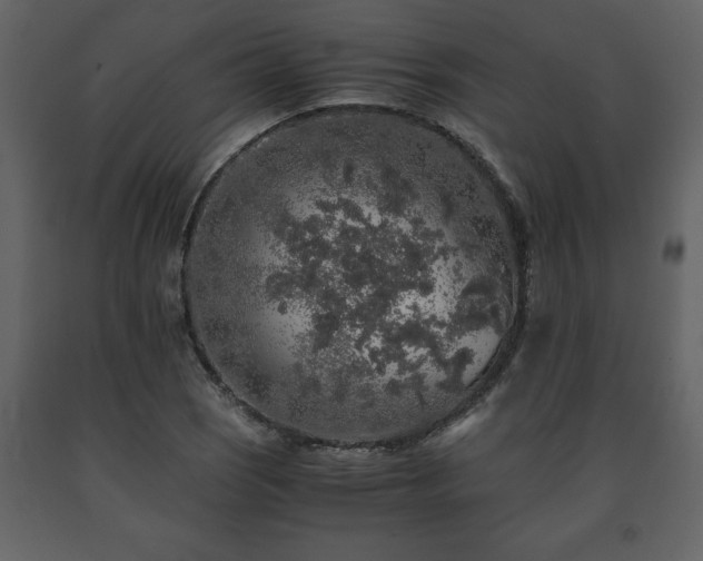 X0000091681121200708231410
