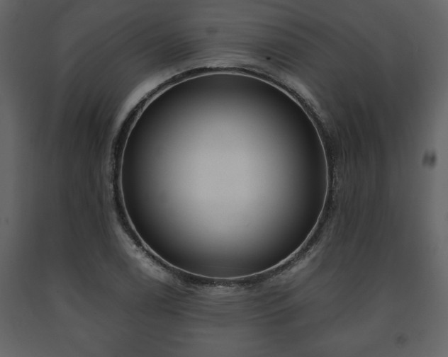 X0000091681122200708231410