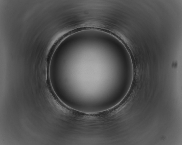 X0000091681123200708231410